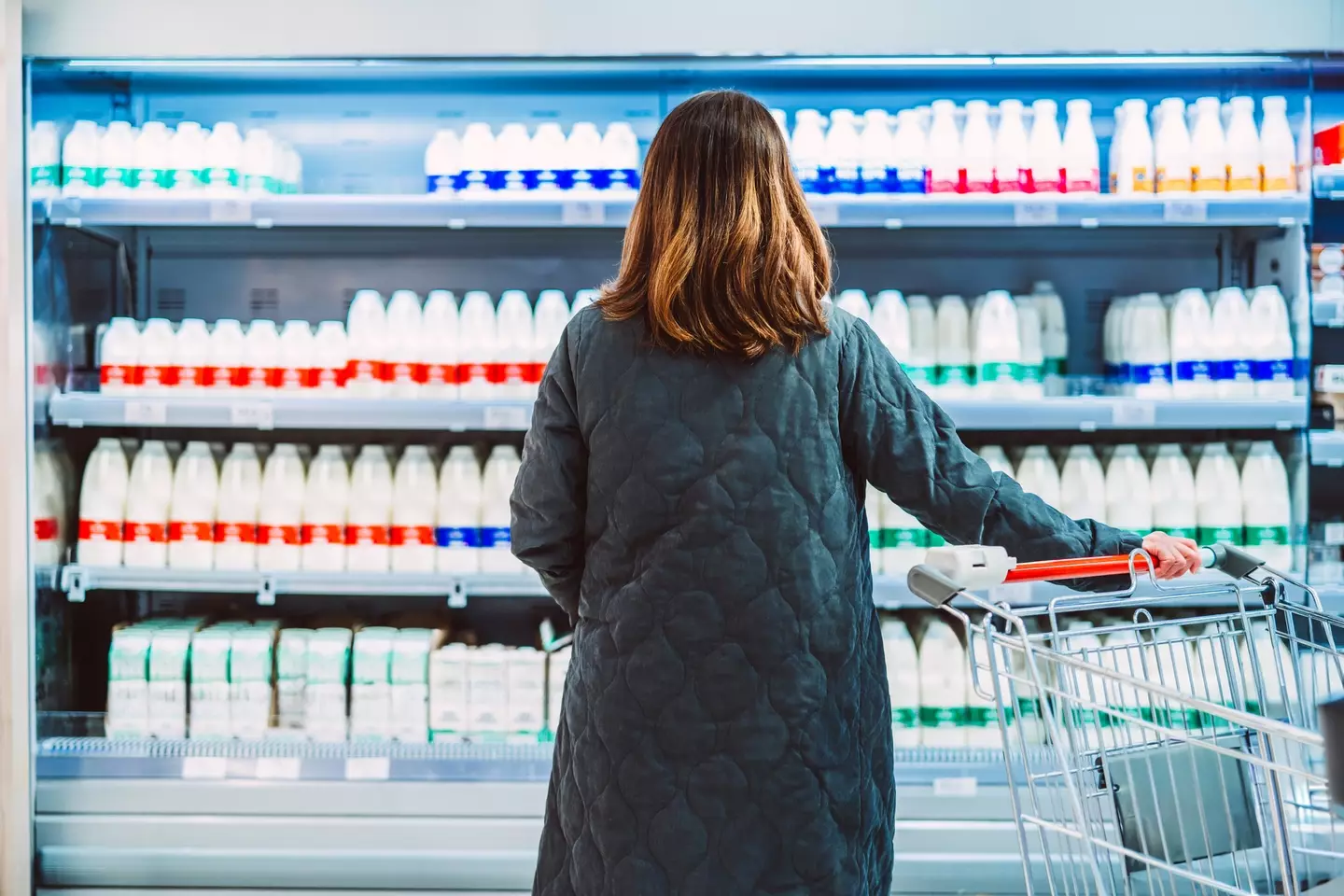 Browsing the options (Images By Tang Ming Tung/Getty Images)
