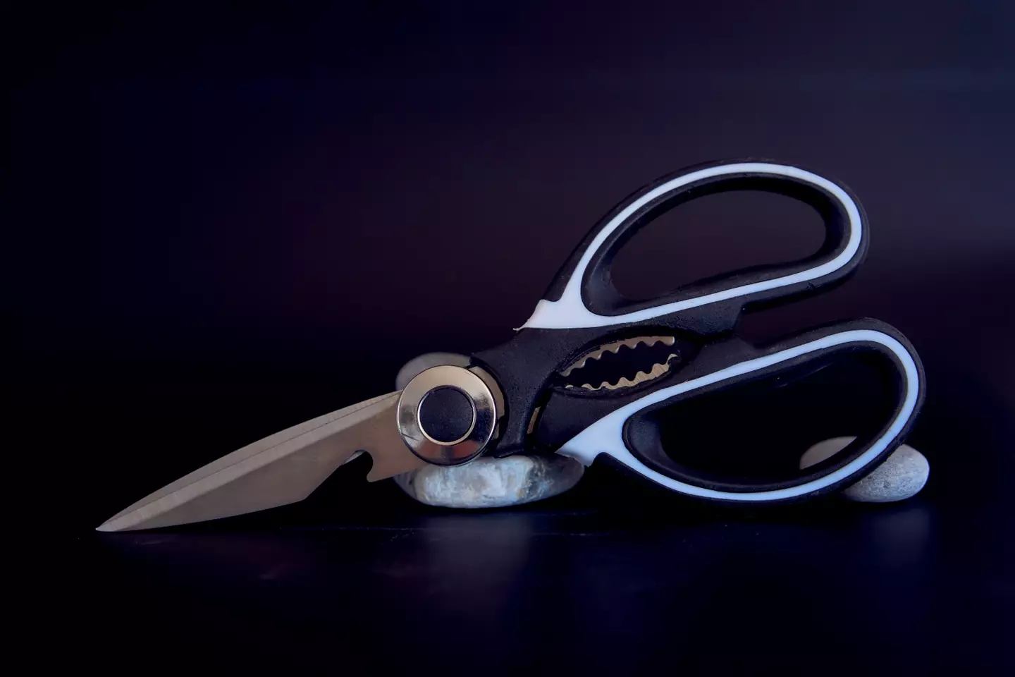 A pair of kitchen sheers (Viktoriia Yakovenko)