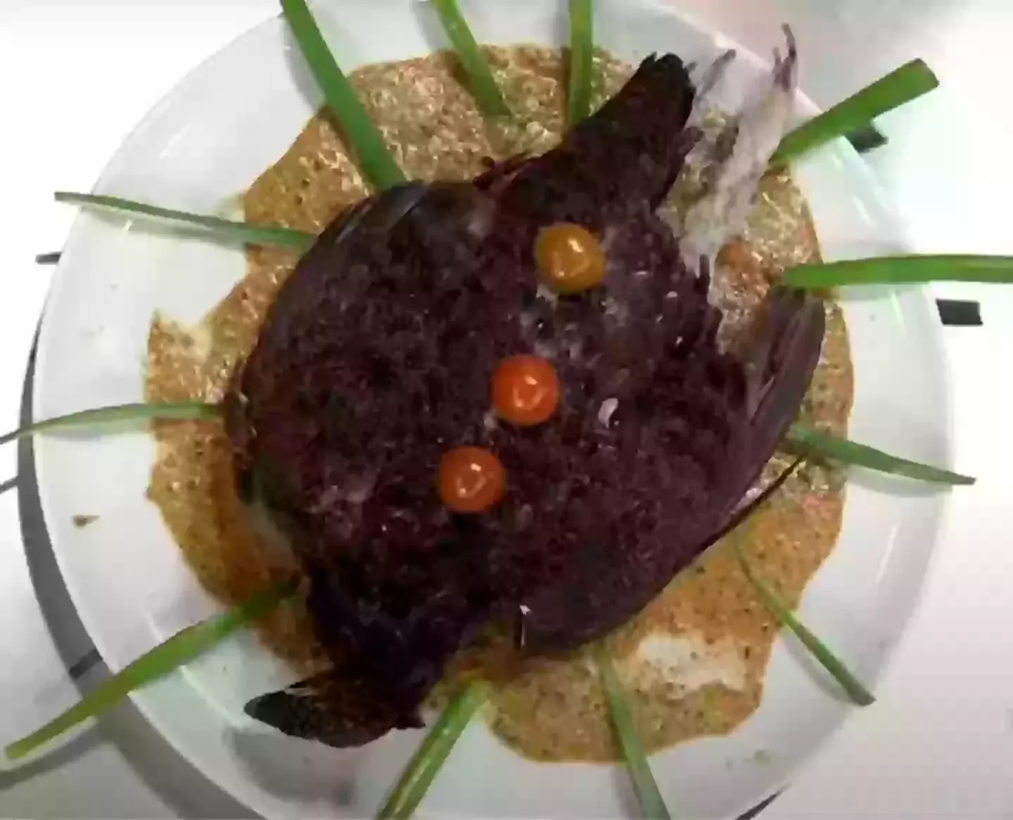 Yep, that's a whole bird... (La 1)