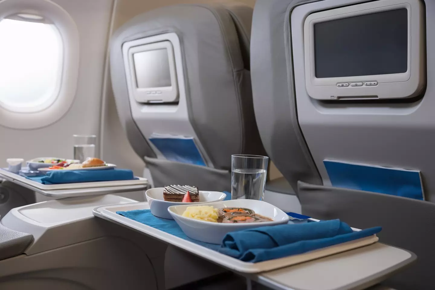 The passenger was told to 'just eat around' the meat in his meal, despite being vegetarian (Juan Silva/Getty Images)