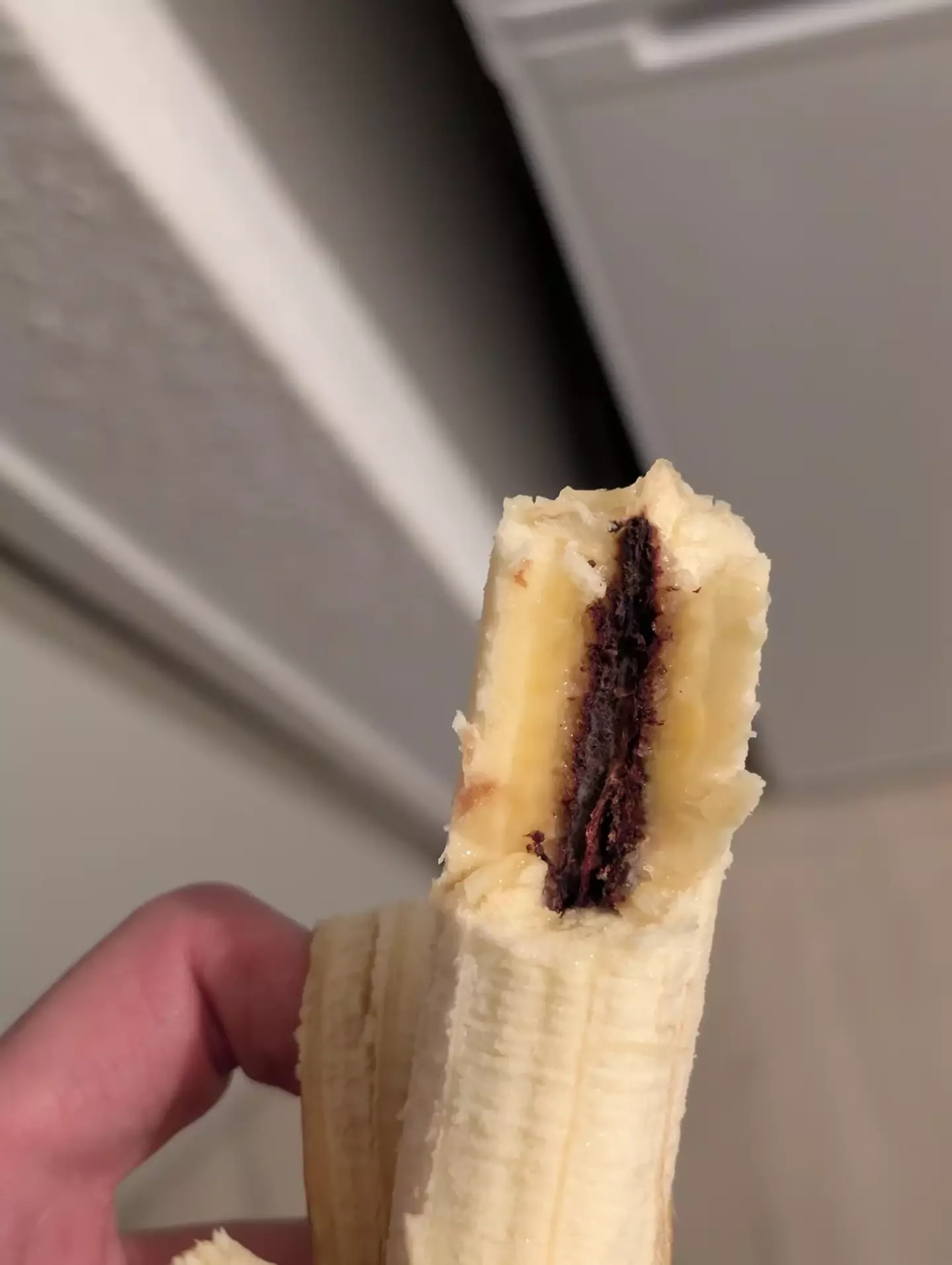 A Redditor bit into a banana and found something alarming running through its core (Reddit/nyosses)
