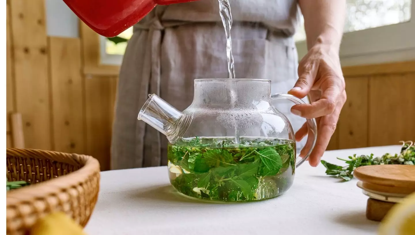 Experts have weighed in on the lemon balm tea trend, claiming its weight-loss properties are a possible 'hoax' (Getty Stock Image)