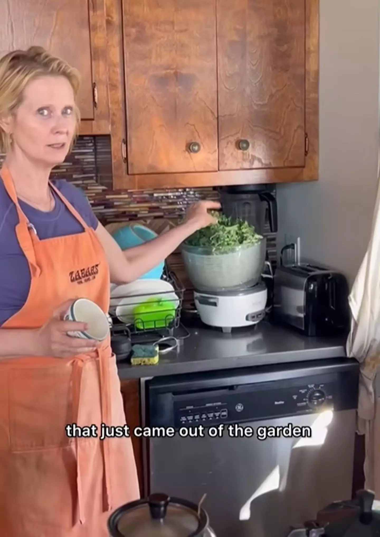 Nixon at home in her kitchen (cynthiaenixon/Instagram)