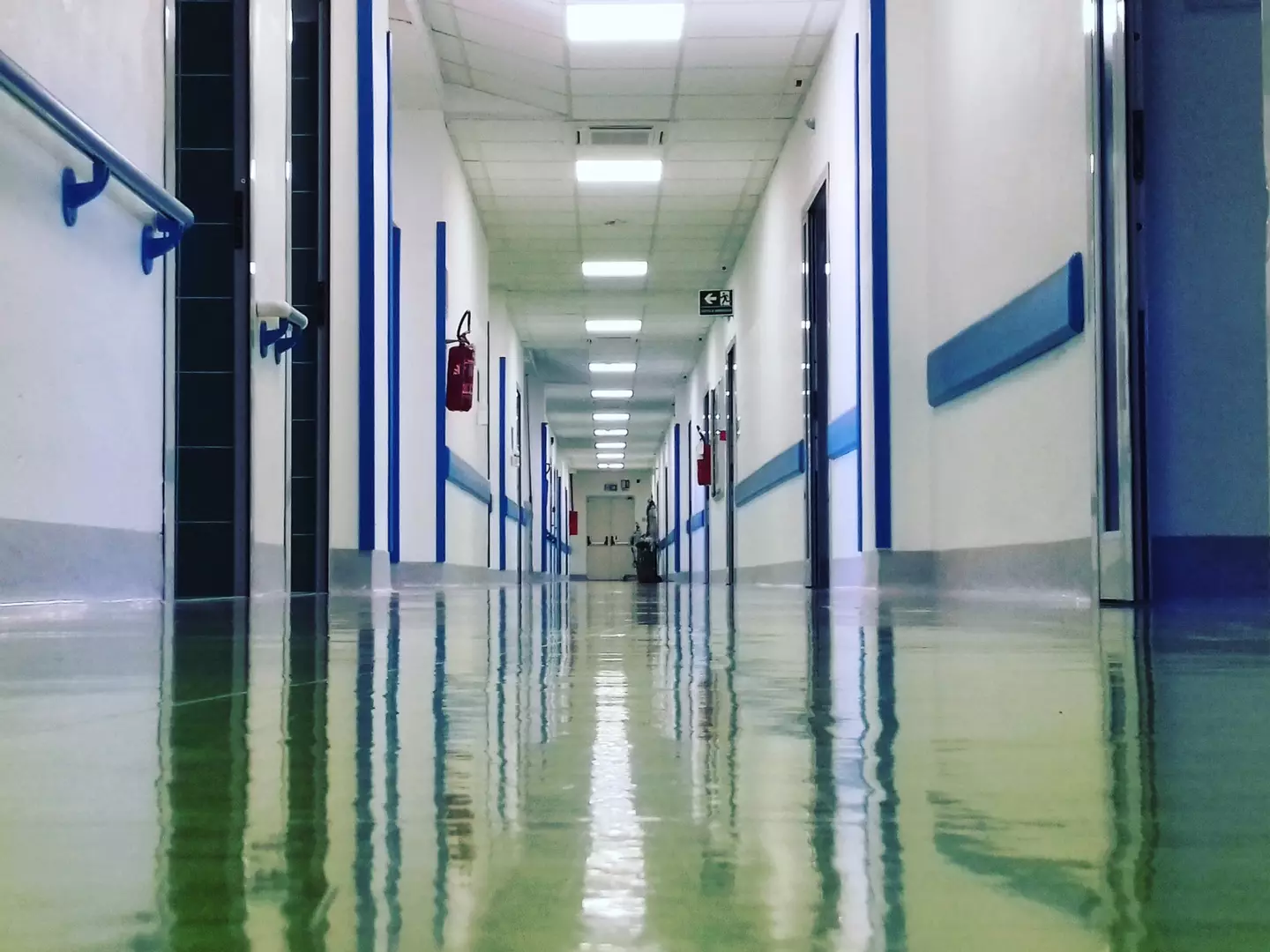 Several people have been treated in hospital for recent botulism infections (Francesco Carta fotografo/Getty Images)