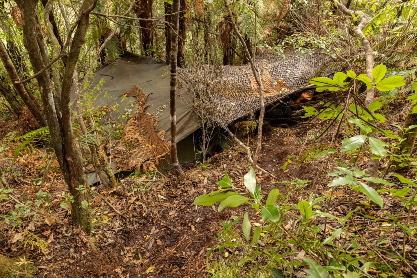 The campsite would be easy to walk right past (New Zealand Police)