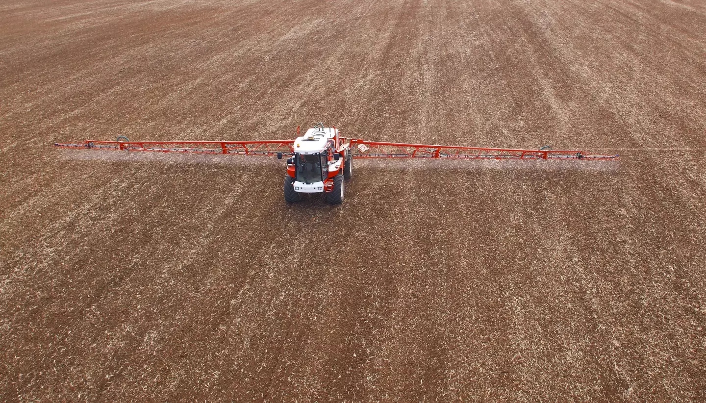 The samples showed traces of pesticides even after washing (Richard Newstead/Getty Images)
