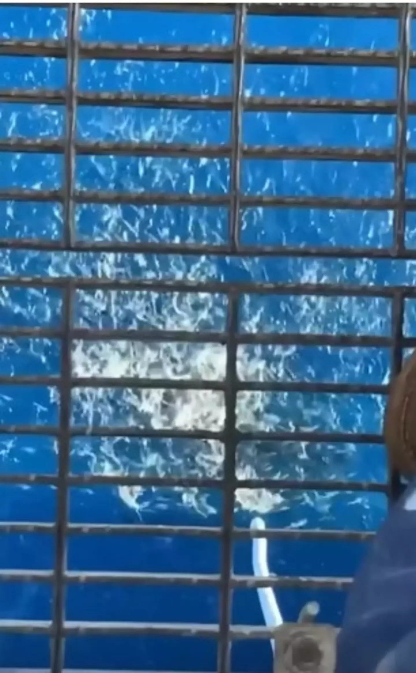 The feeding frenzy begins - Reddit