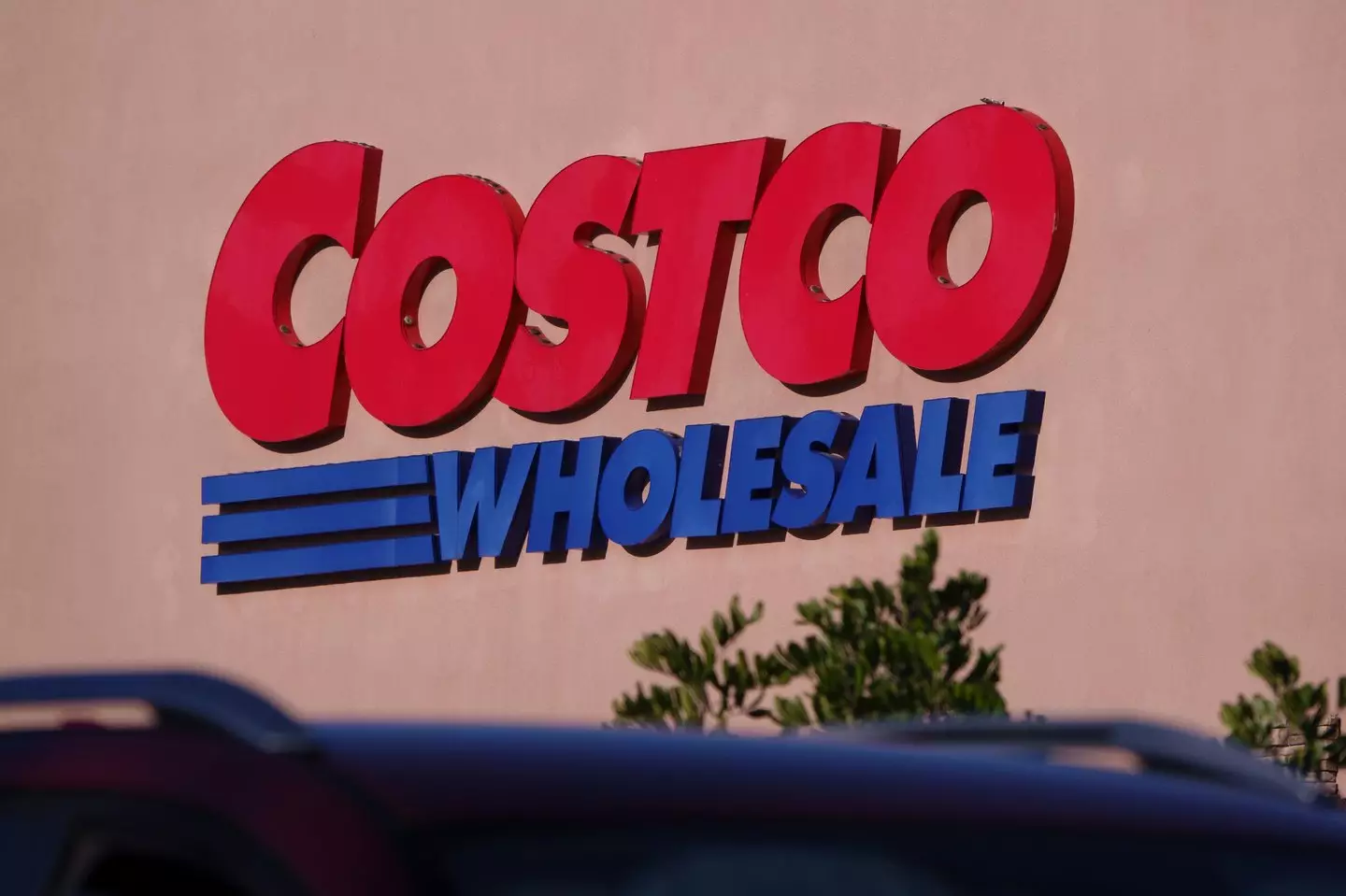 A class action lawsuit has been filed against Costco (Kevin Carter/Getty Images)