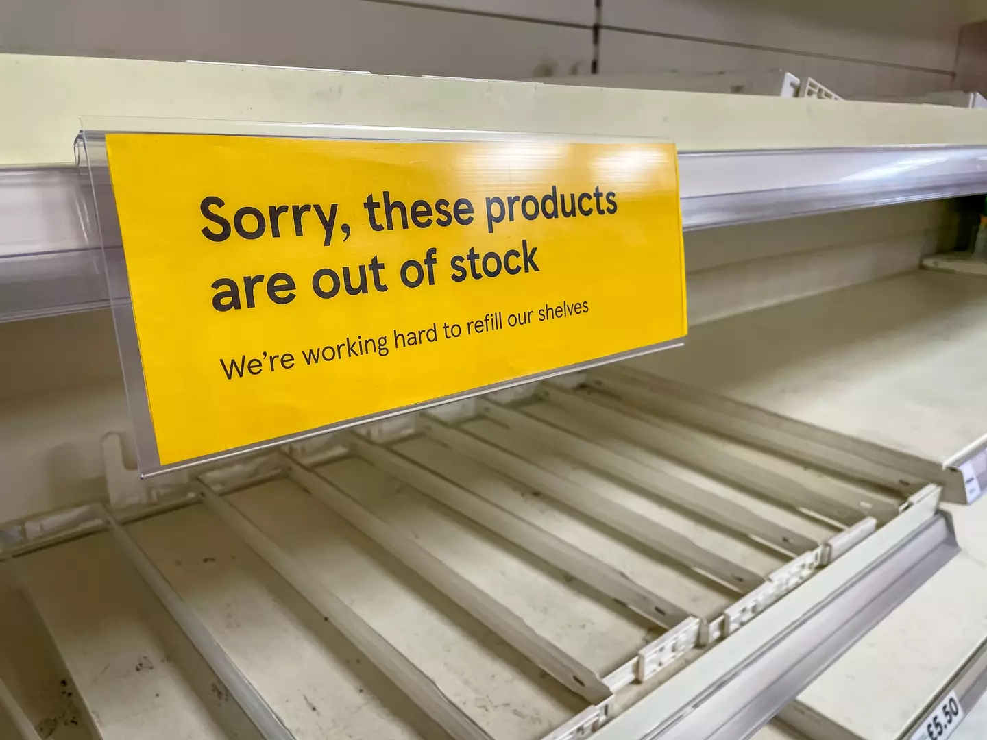 Empty supermarket shelves could become a common sight as weather events impact global harvests (Craig Hastings/Getty Images)