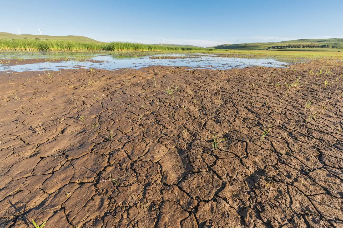 Climate change-associated droughts threaten global food supply chains (Xuanyu Han/Getty Images)