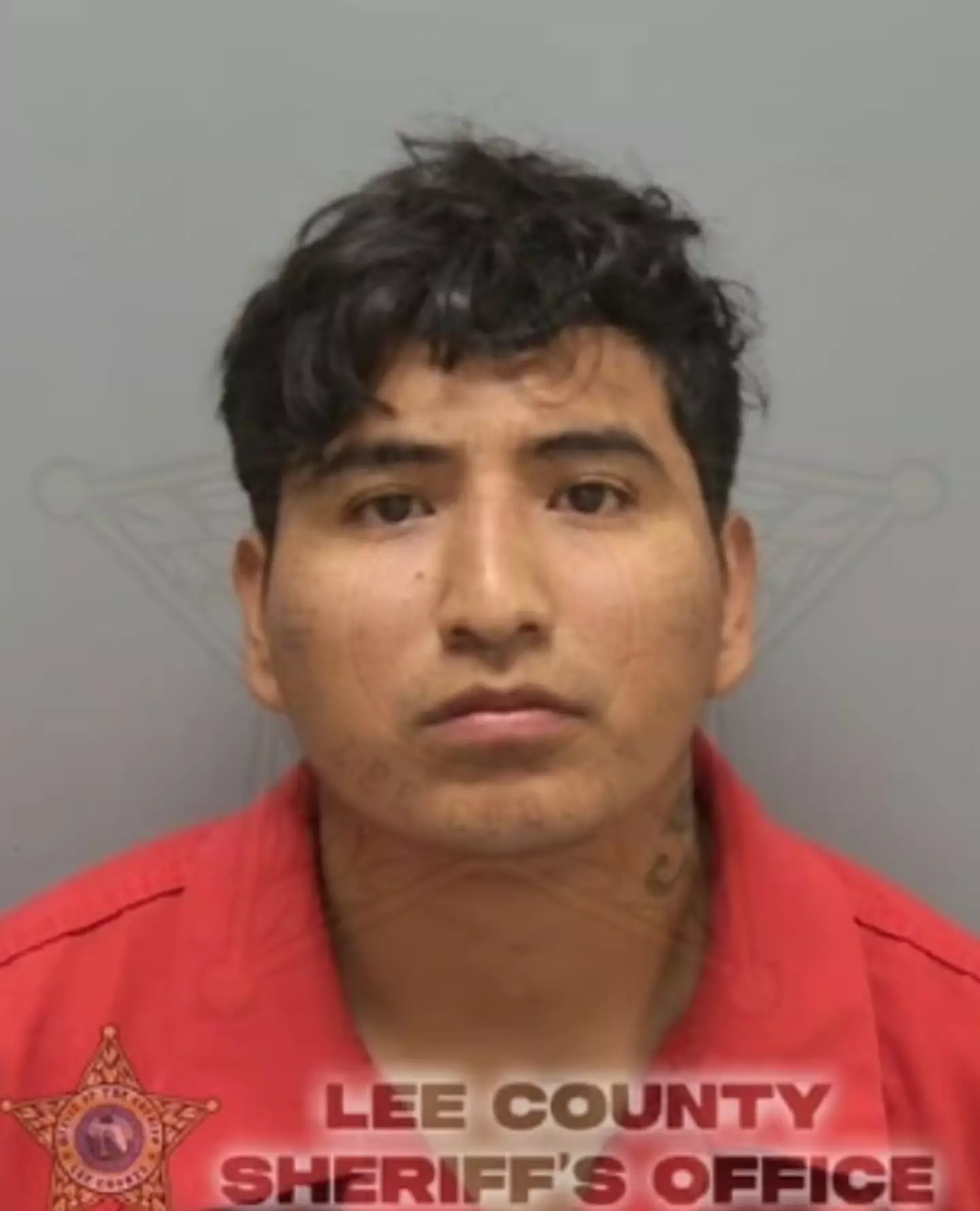 Luis Alania Estrella was arrested after driving under the influence (Cape Coral Police Department)