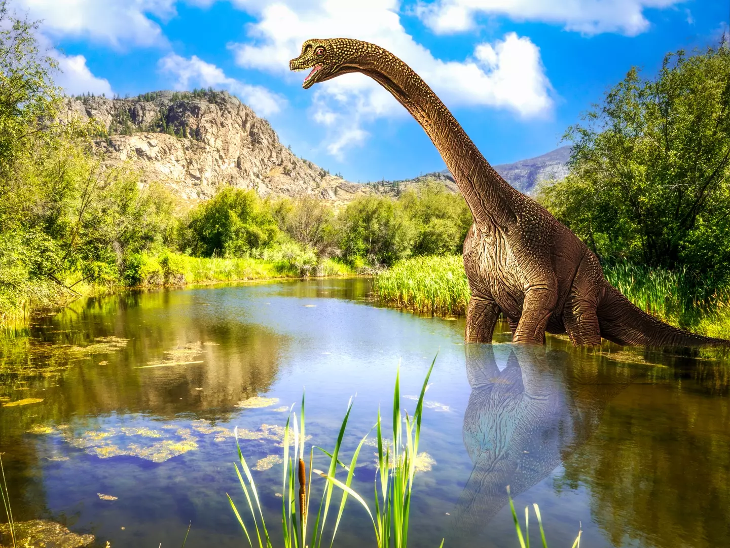 Swallowing those greens must take forever for this guy (Joe Regan/Getty Images)