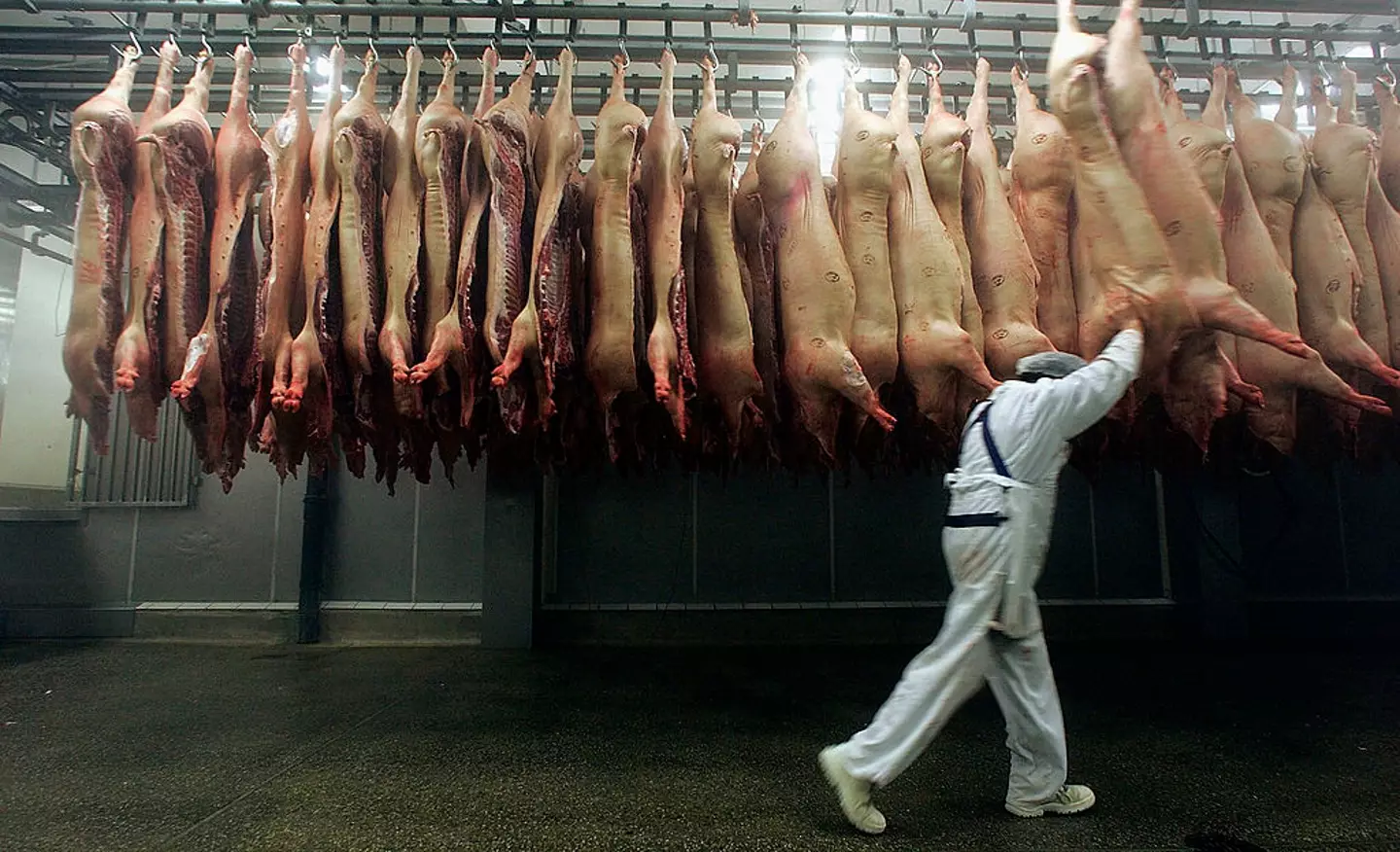 The harsh realities of an abattoir shaped Stein’s earliest understanding of food’s origins (Ralph Orlowski/Getty Images)