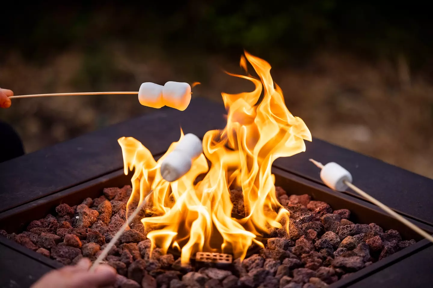 Fireside marshmallows are hard to replicate in a cheap and cheerful ice cream (JasonDoiy/Getty Images)