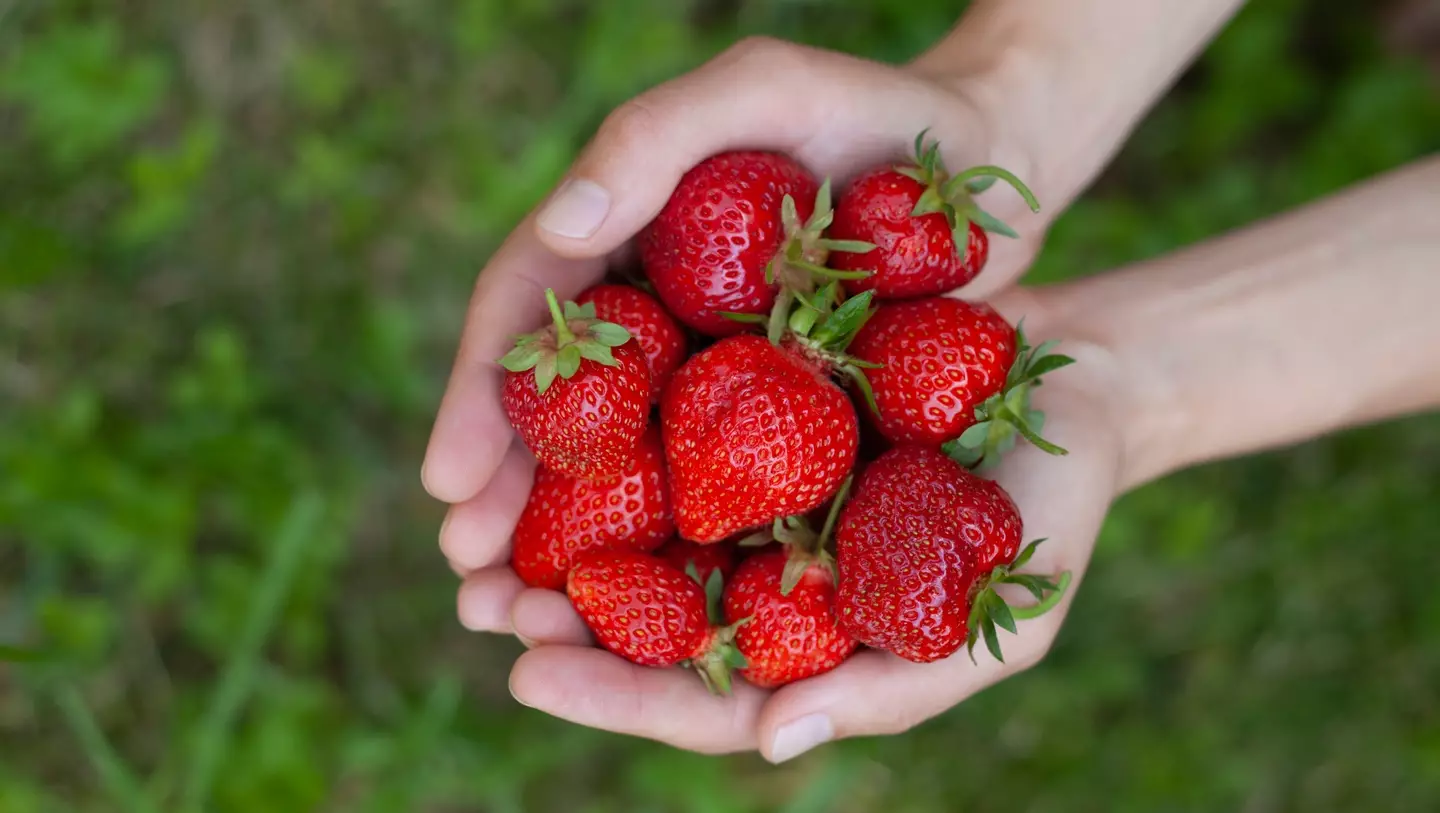 Delicious and nutritious (joannatkaczuk/Getty Images)