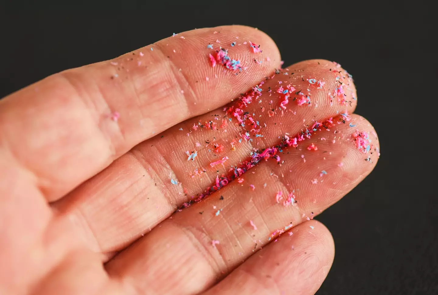 Microplastics have been found in Arctic waters (Peter Dazeley/Getty Images)