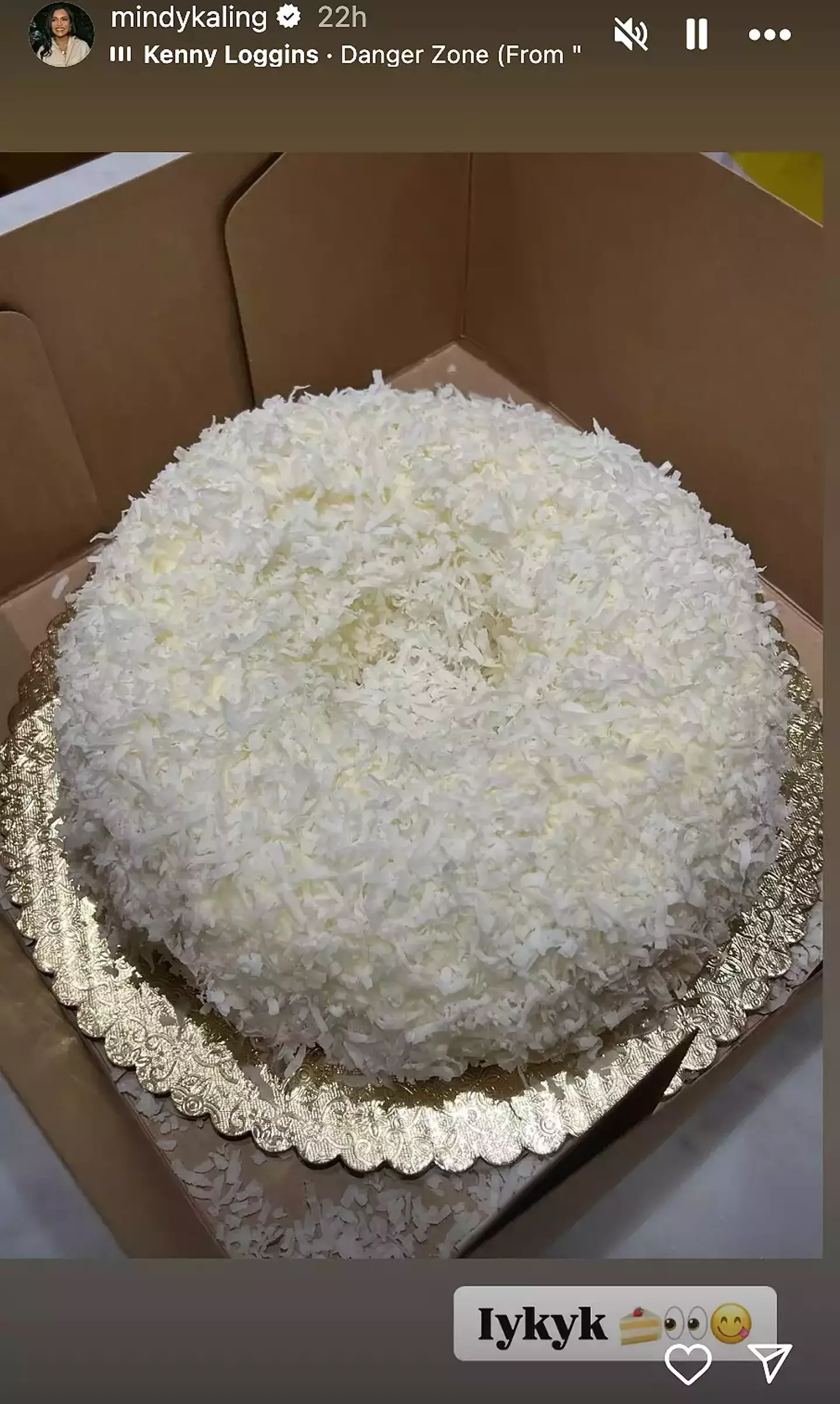 Mindy Kaling posted about her cake on social media (Instagram/mindykaling)