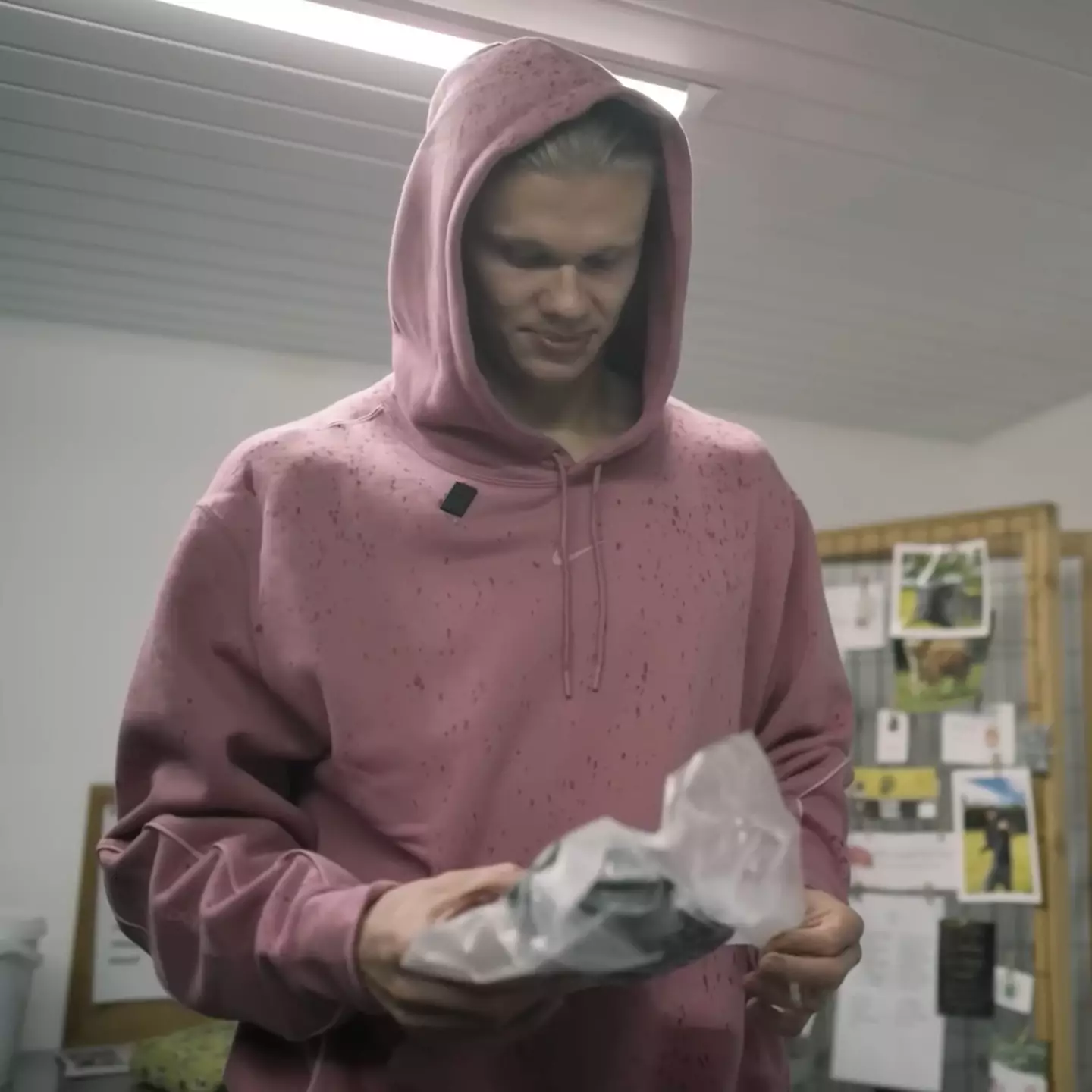 The Manchester City striker picks up his goods from a local farmer (Erling Haaland/YouTube)