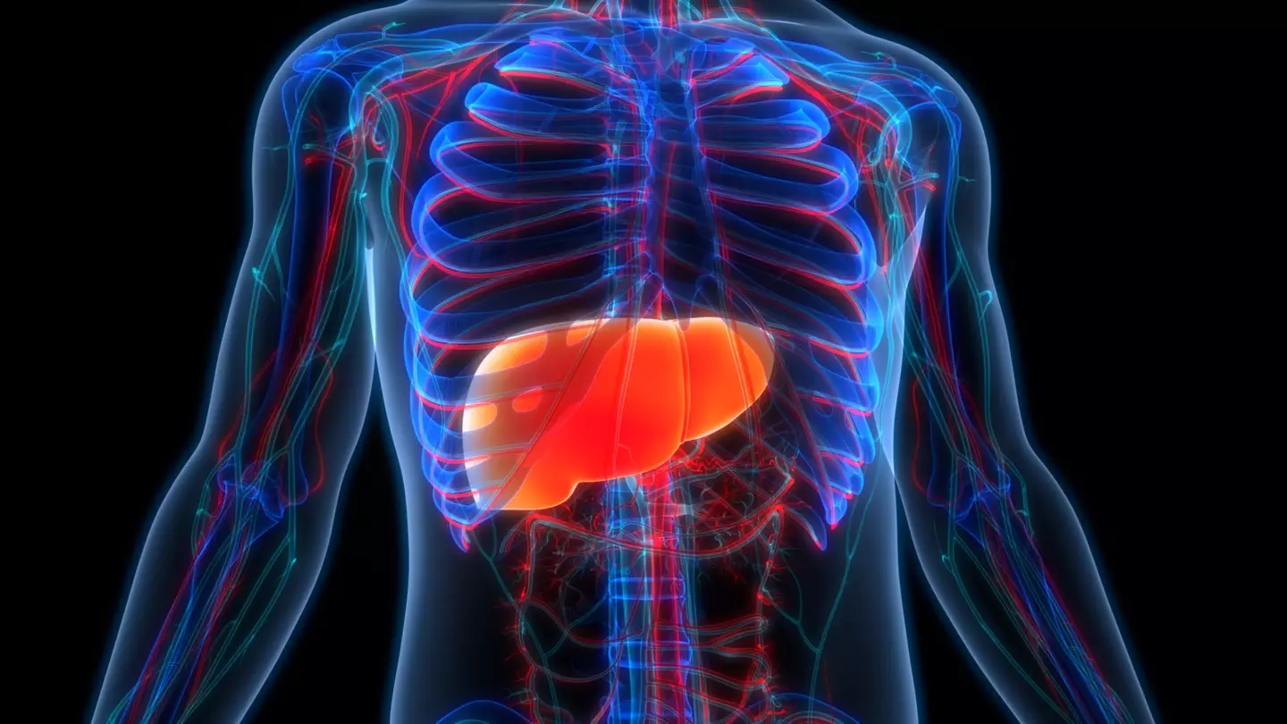 (magicmine/Getty Images)