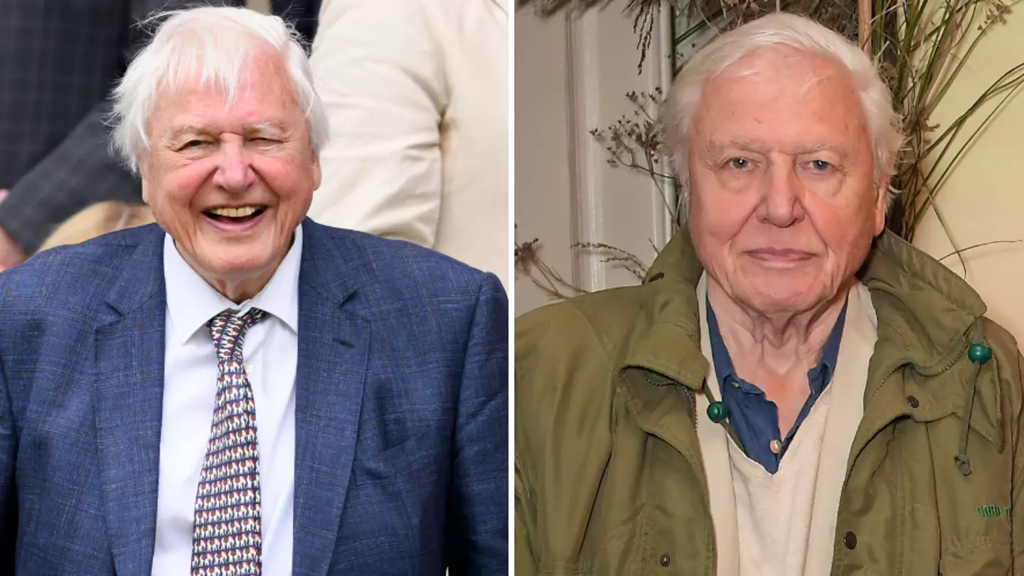 One name you should never call Sir David Attenborough according to Planet Earth III producer