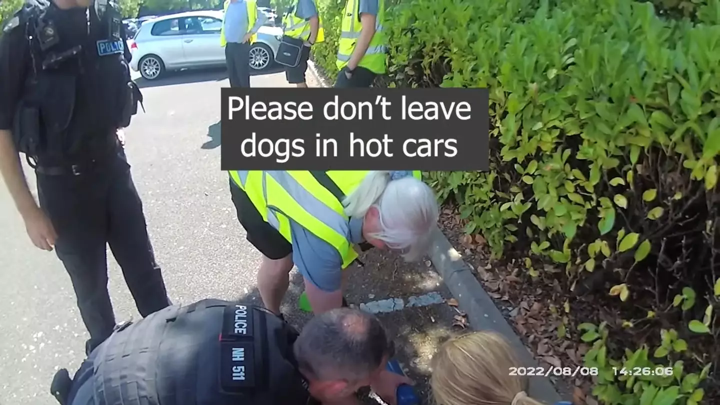 The police immediately moved the dog into the shade and gave him some water.