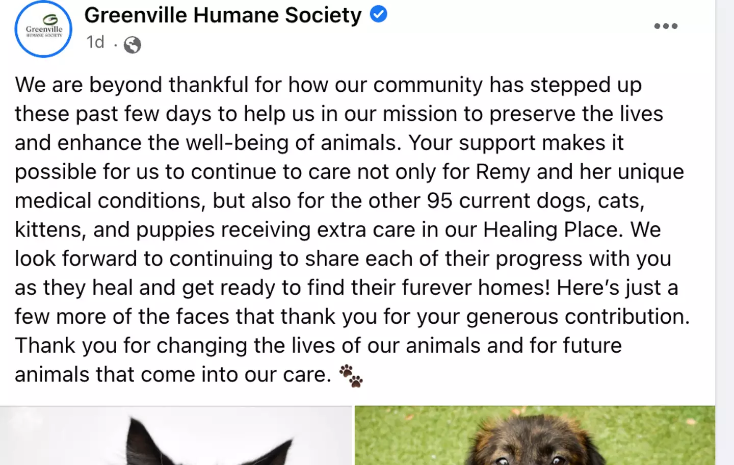The shelter was inundated with donations after posting about Remy.