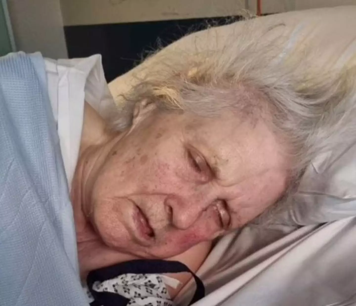 The 88-year-old's son said his mother spent her last 28 days of life without food or water.