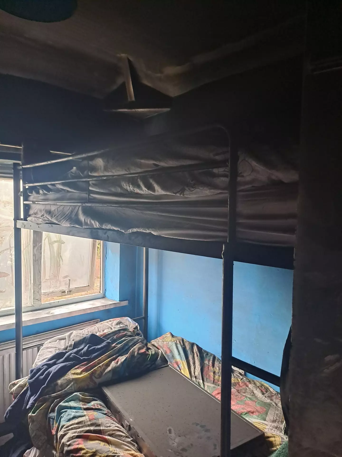 The family are now waiting to be rehomed.