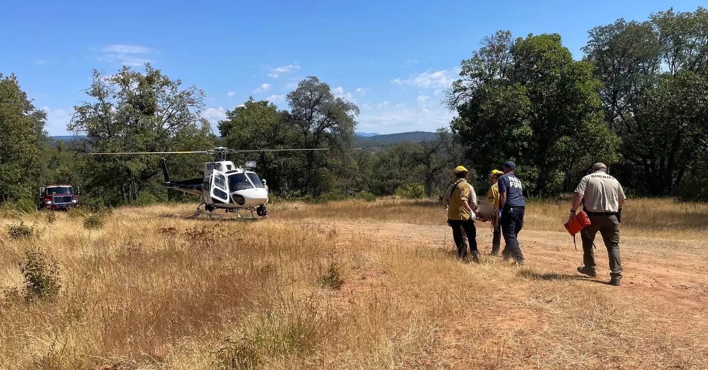 She was found after 12 days and was 'emaciated' (Nevada County Sheriff's Office Facebook)