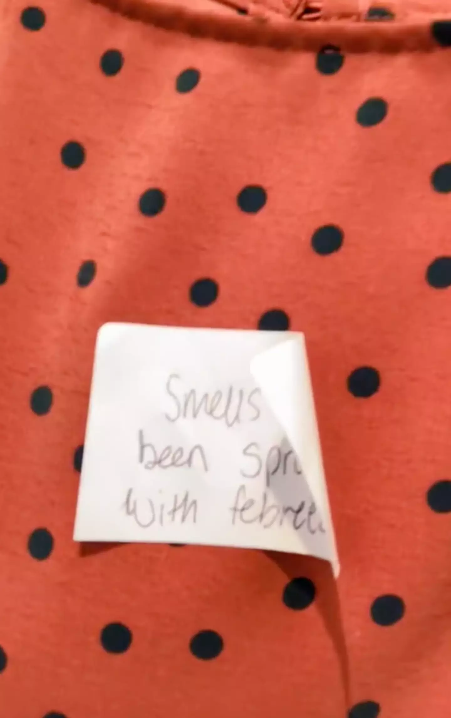 The dress had a note to say it smelt of Febreze (