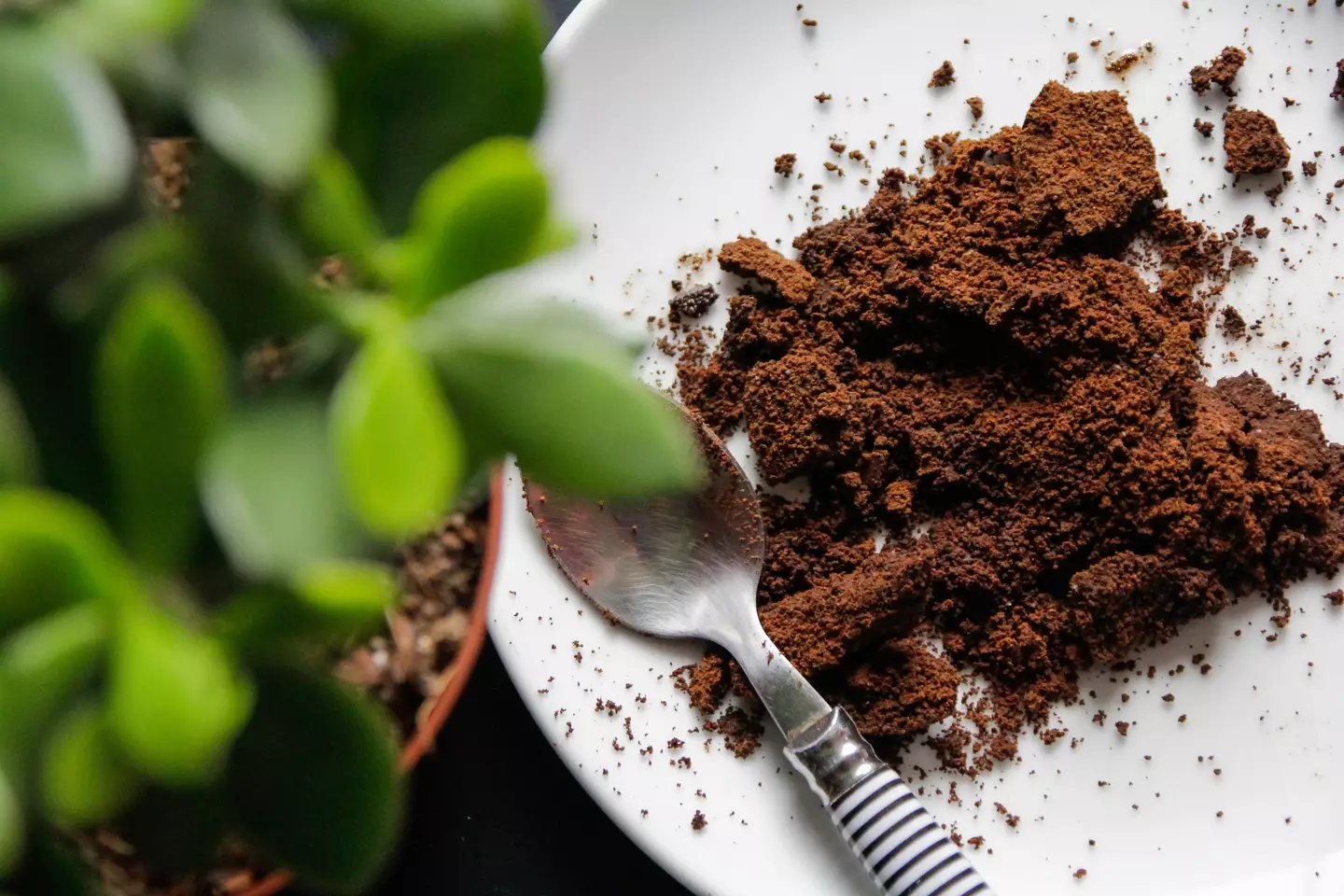 Coffee grounds can be used as a smell-eliminator.