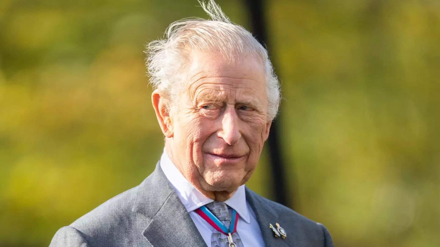 Samir Hussein/WireImage