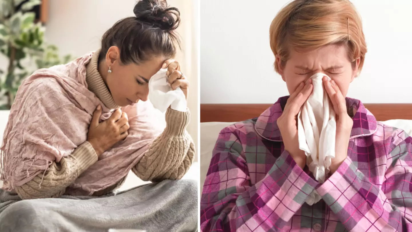 Symptoms of ‘sloth fever’ to look out for as new virus sweeps across the US and Europe