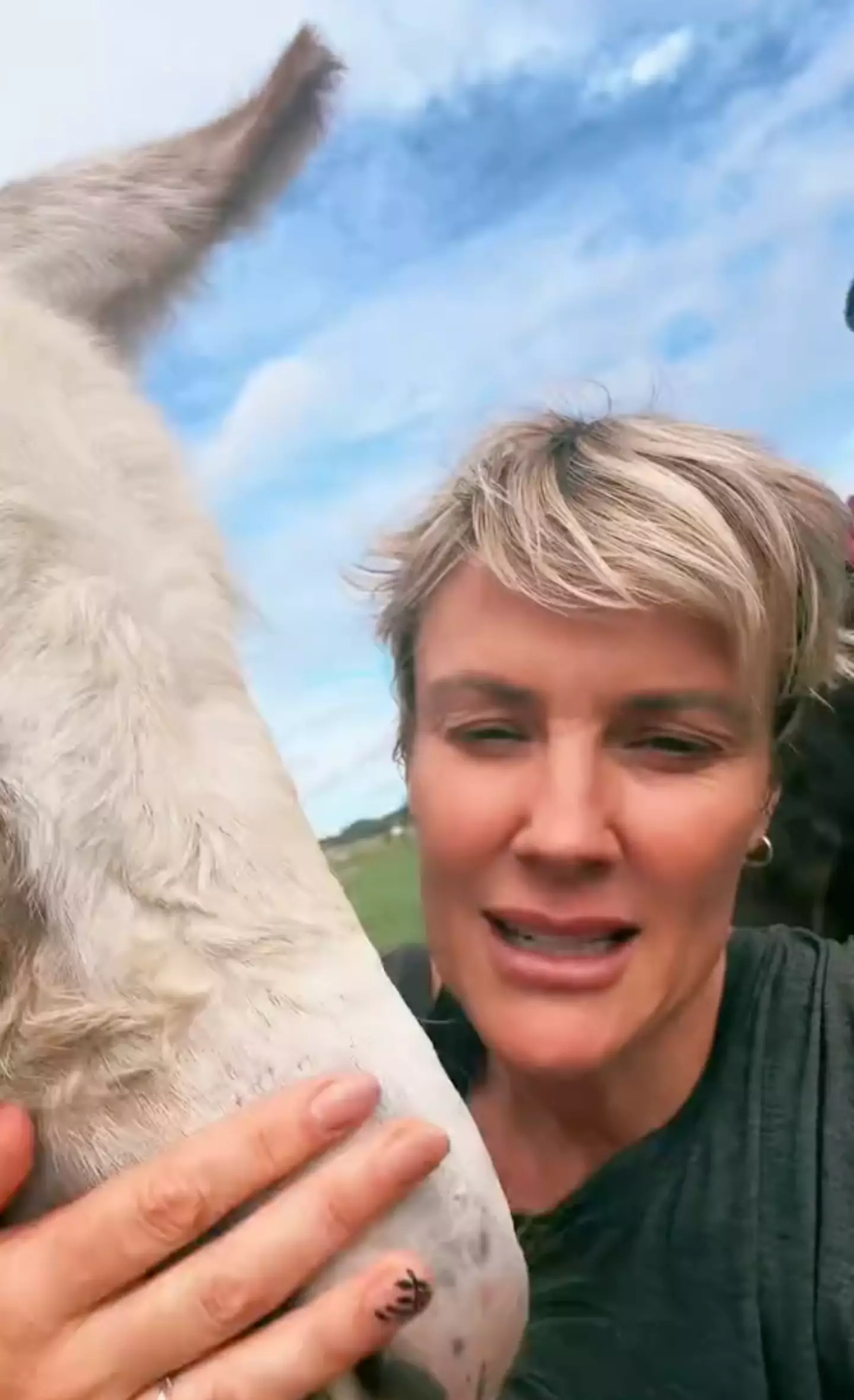 The Florida resident revealed she'd be keeping as many animals as possible in her home with her family (TikTok/@oursimplehomestead)