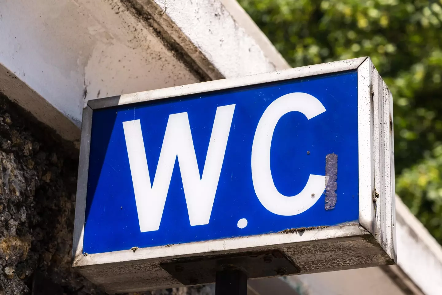 It stands for 'water closet', but why?