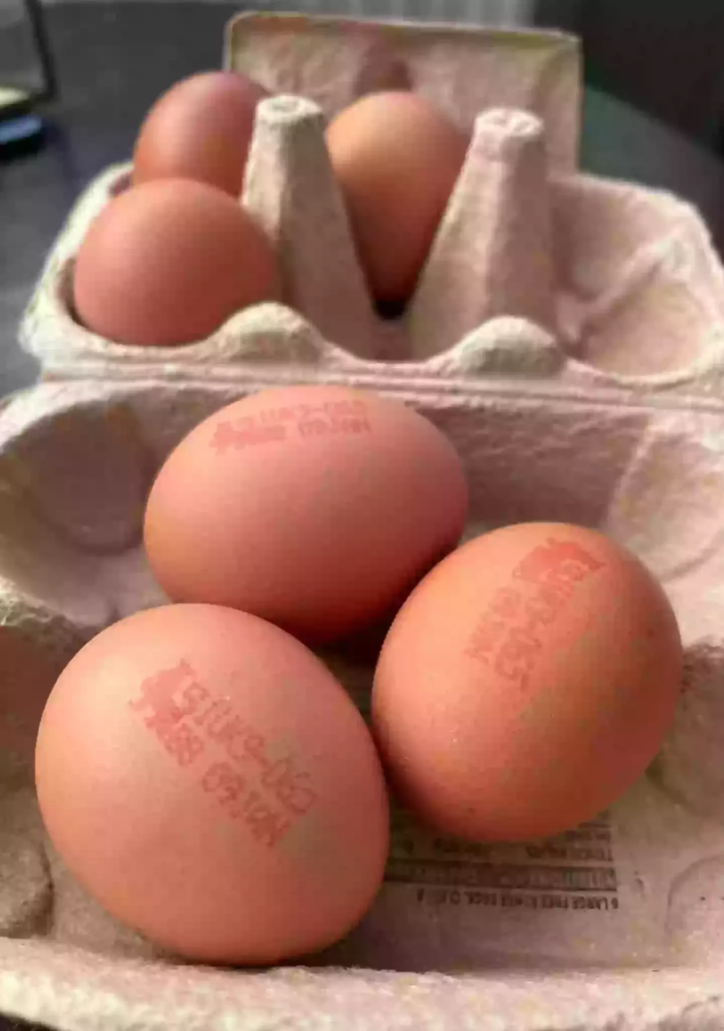 It turns out keeping them in the fridge keeps them fresher for longer (Tyla)