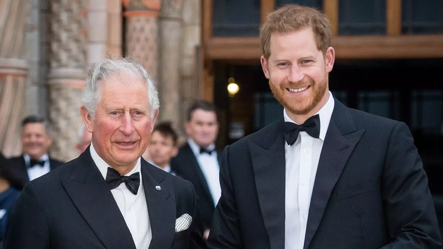 What happens next after Prince Harry issues rare update on King Charles following their first meeting in over a year