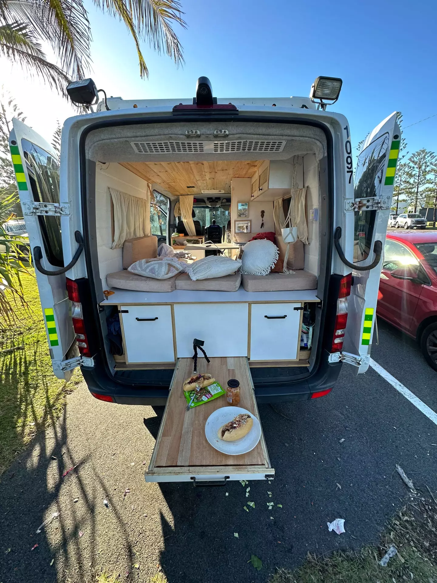 Alice used her savings to buy a van she could live and travel in with her dog Ziggy.