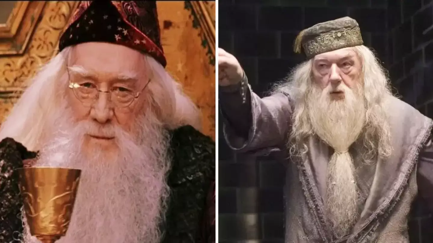 Harry Potter fans convinced they know who is playing Dumbledore in series reboot