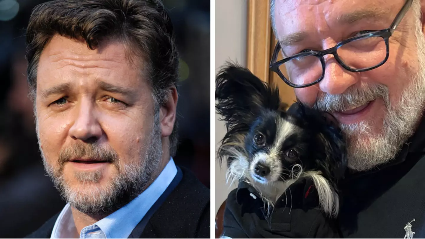 Russell Crowe breaks down in tears live on-air over the death of his puppy