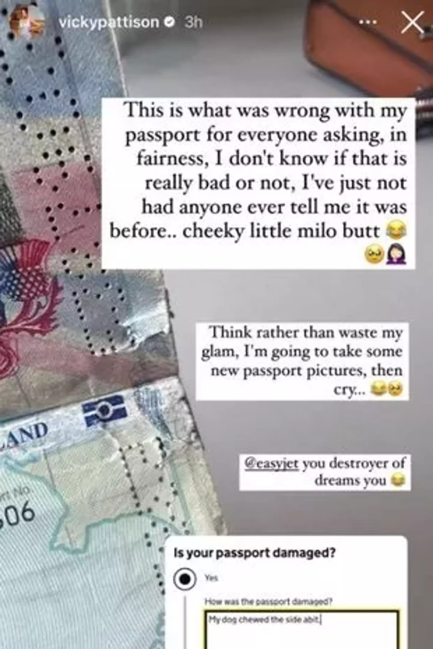 She shared a snap of her damaged passport.