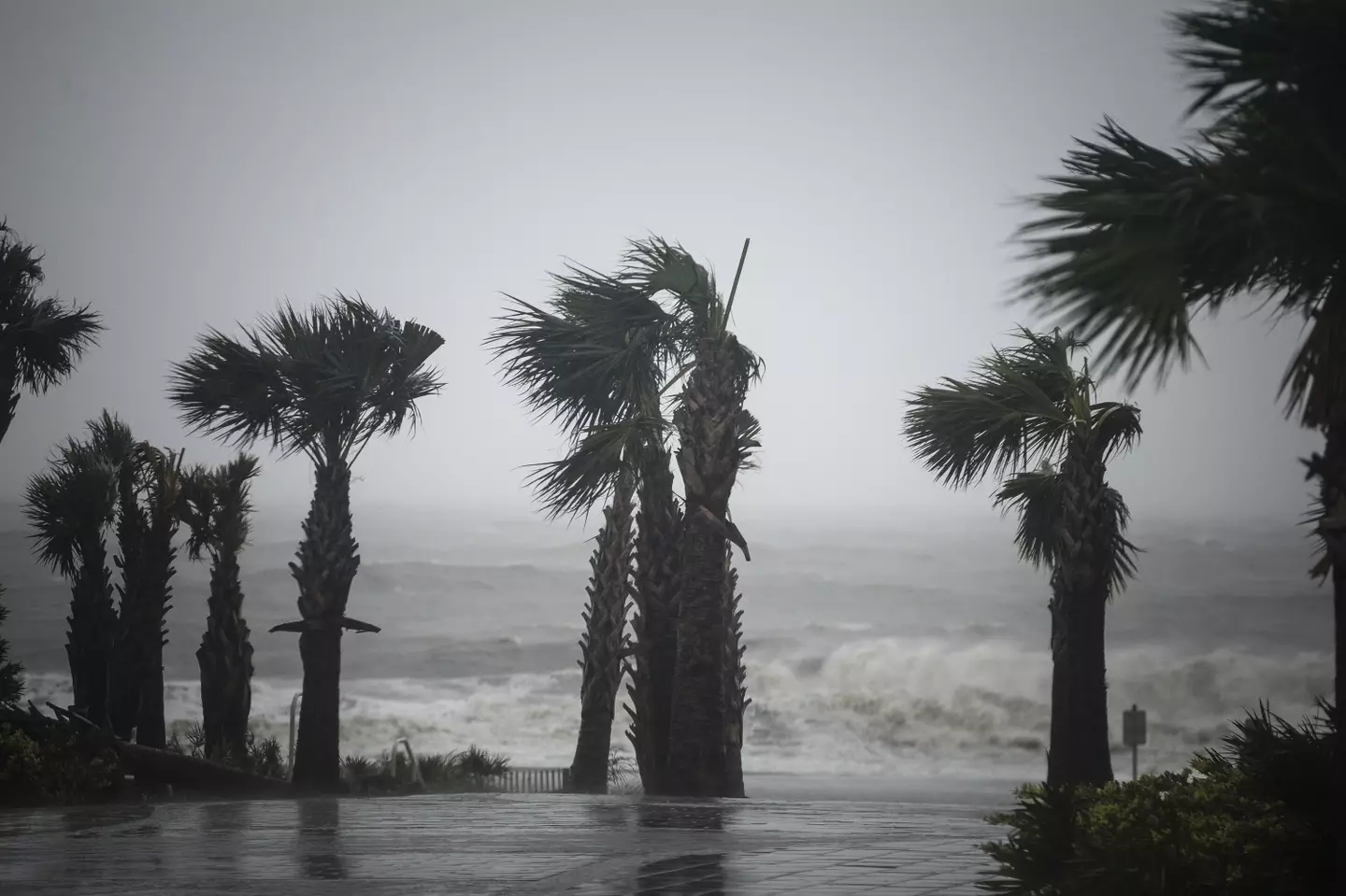 The psychic predicted more intense natural disaster (Bloomberg Creative/Getty)