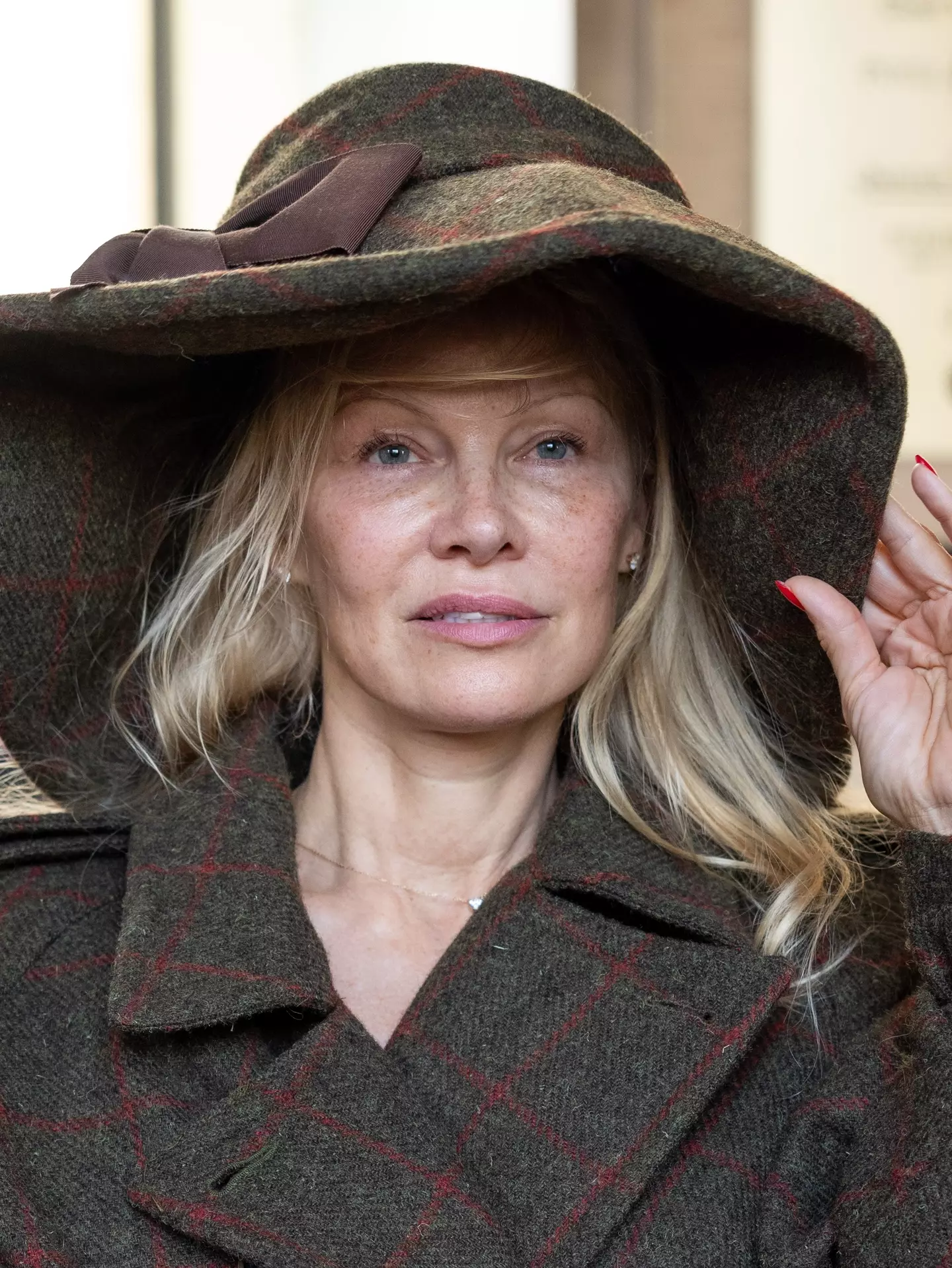 Pamela has once again opened up on her bare-faced look. (Arnold Jerocki/Getty Images)