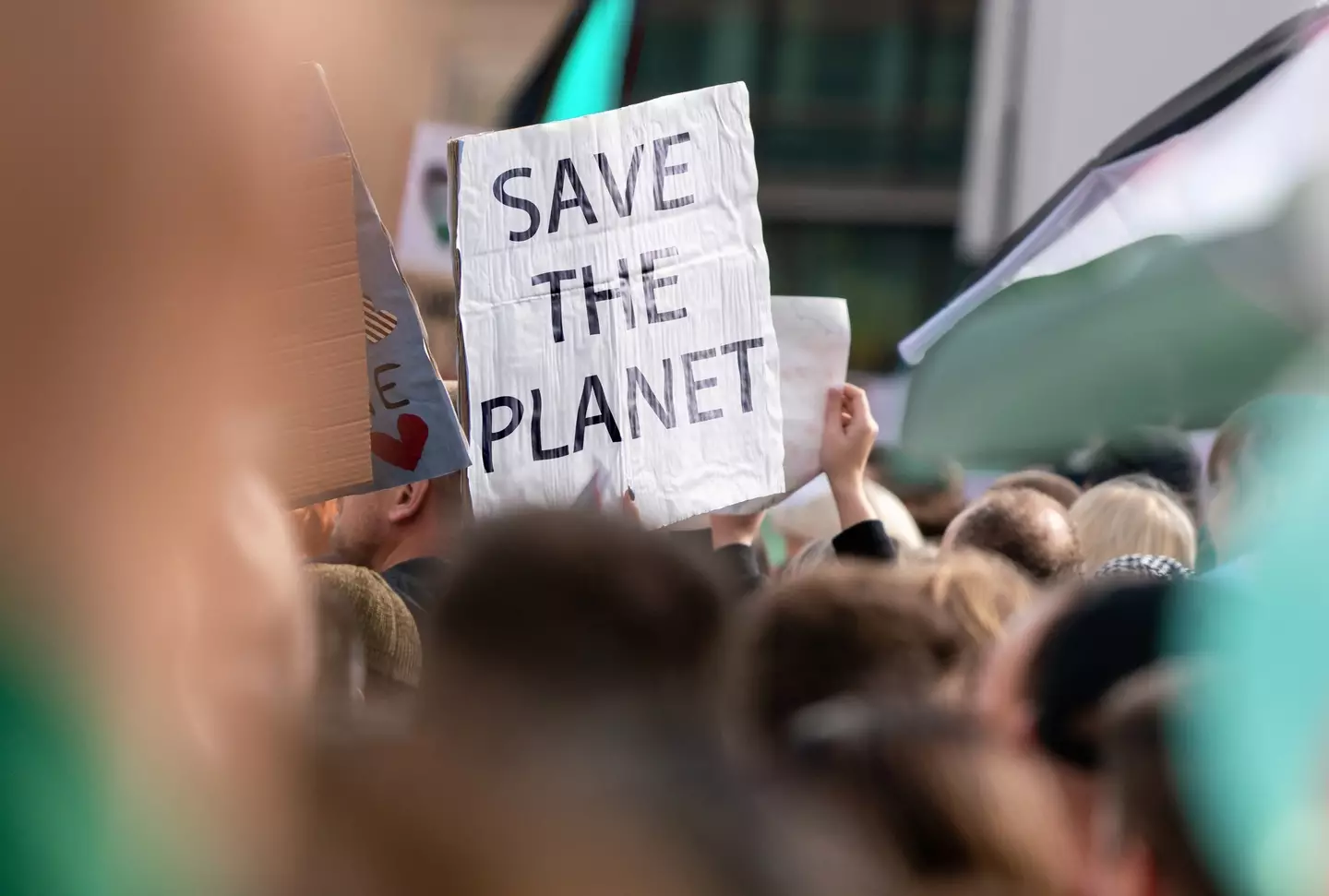 Trump's previously called the climate crisis an 'expensive hoax' (Jasmin Merdan / Getty Images)