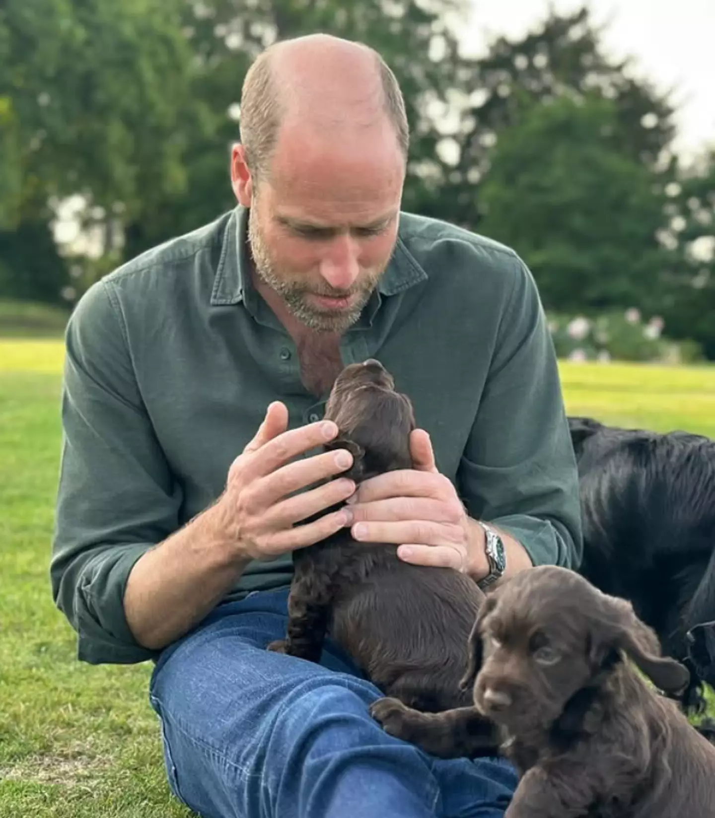 PETA called out the royals for 'churning out a litter' amid an animal homelessness crisis (Instagram/@princeandprincessofwales)