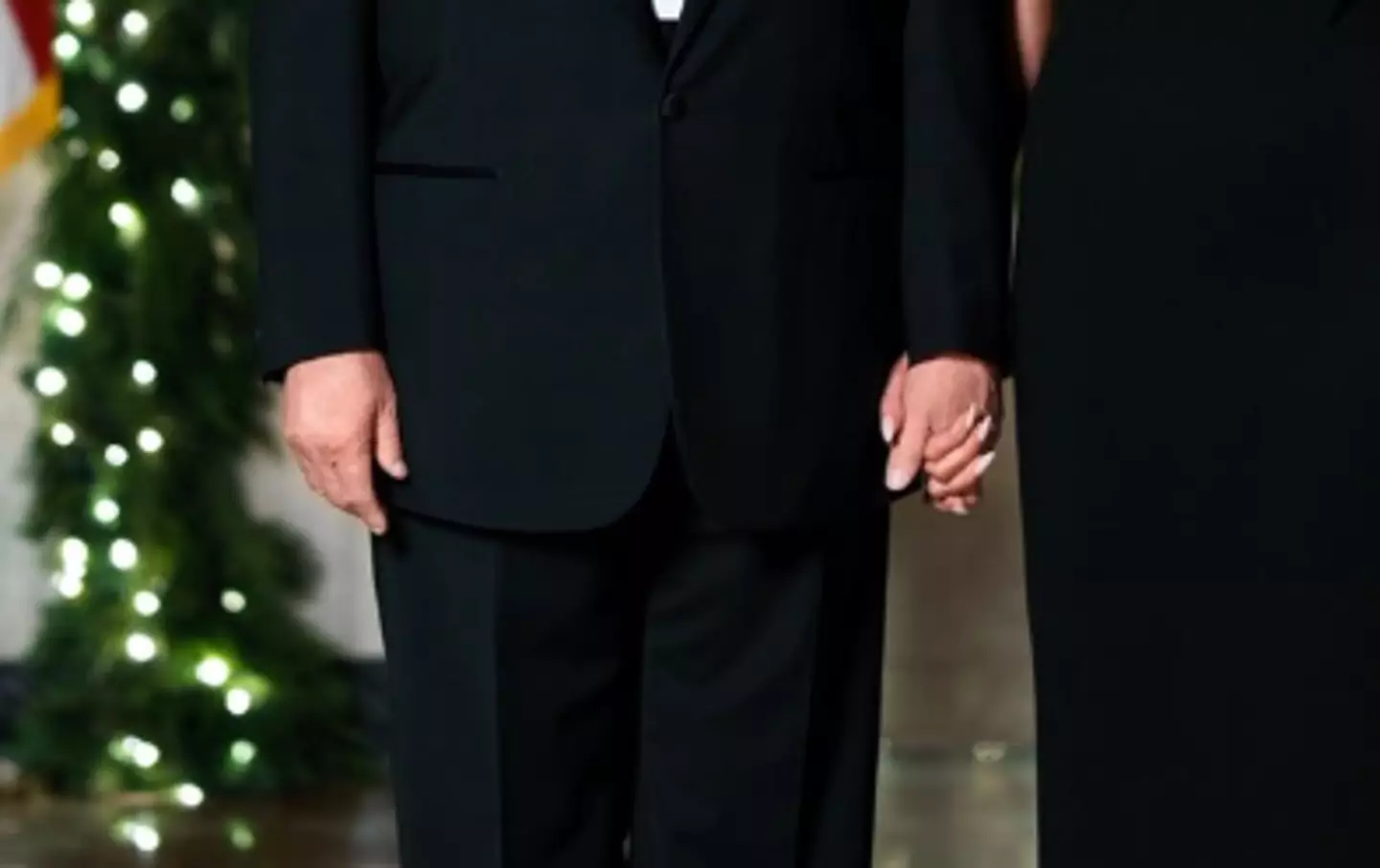 The plaster had mysteriously disappeared (The White House)