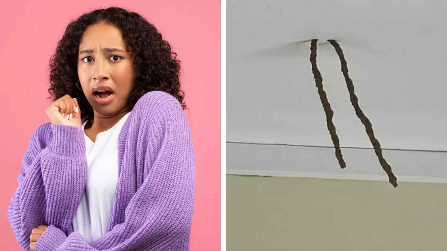 Mum left horrified after finding two 'sticks' stuck to ceiling that came 'out of nowhere'