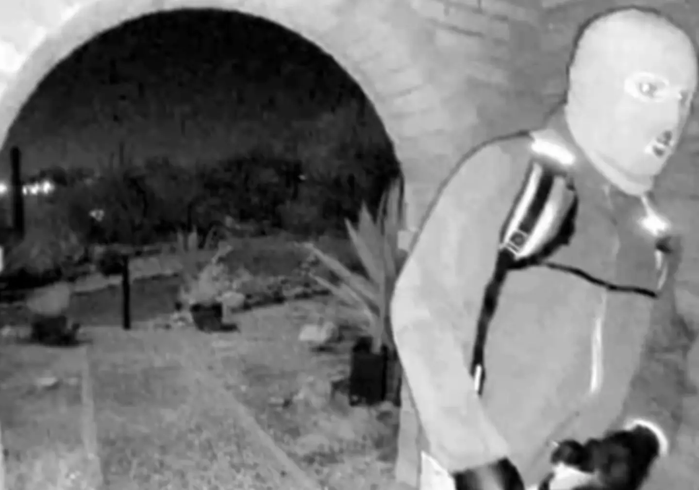 The FBI has now released a physical description of the suspect (FBI)