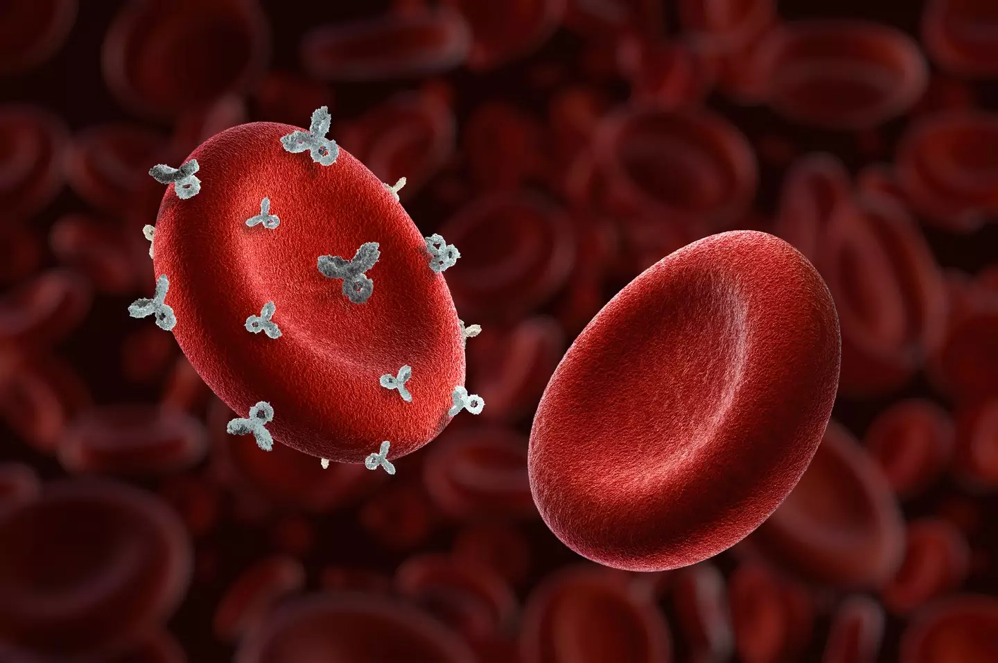 Type B blood are less likely to develop kidney stones (Getty Stock Photo)