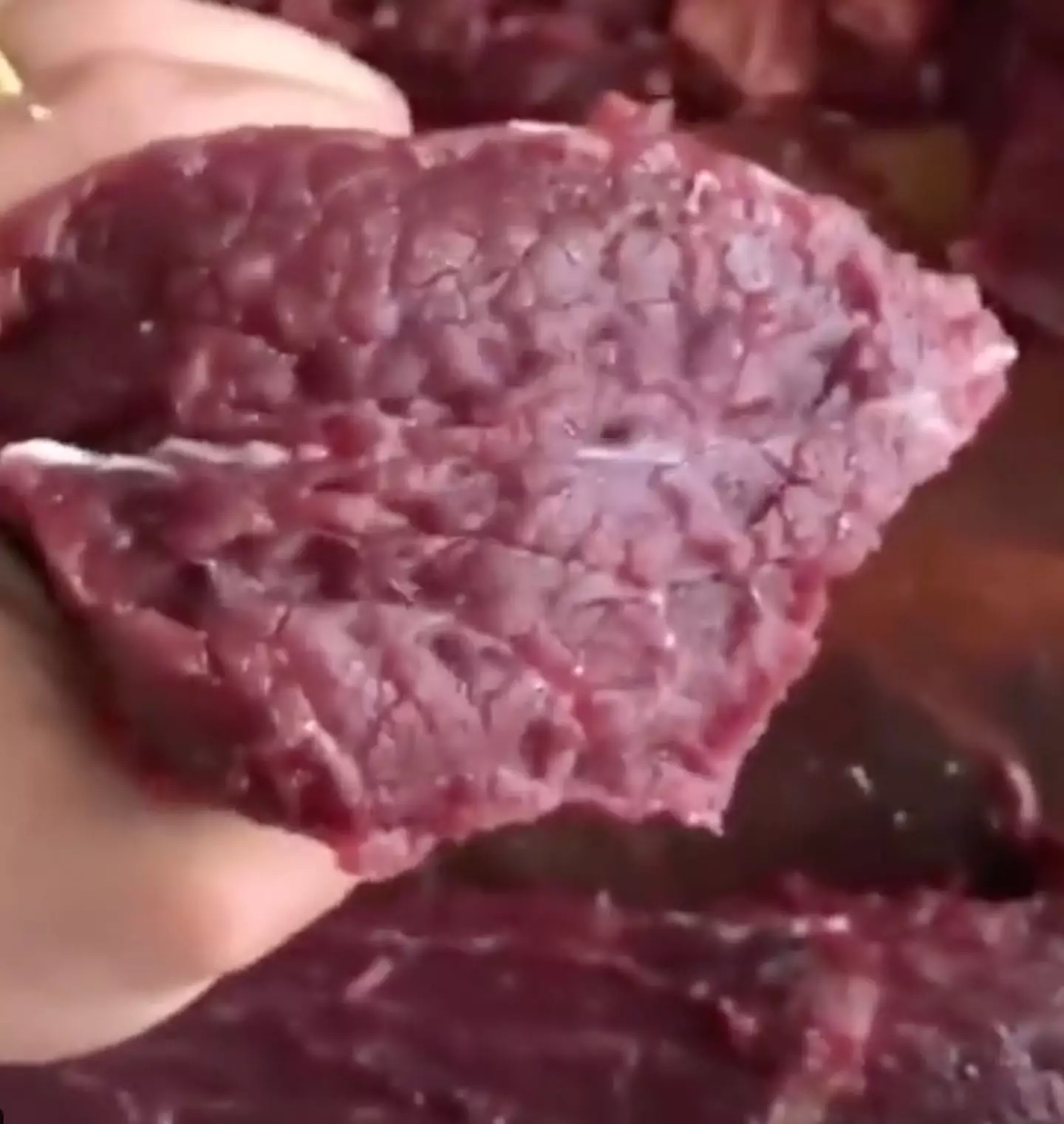 The video clearly demonstrated the meat 'moving'. (Twitter/@weirdterrifying)